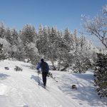 Schöne Loipe am Bödele